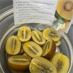 Sungold Kiwi in a bucket